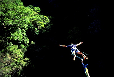 A man Bungee Jumping in the jungle, Costa Rica, Caribbean, America