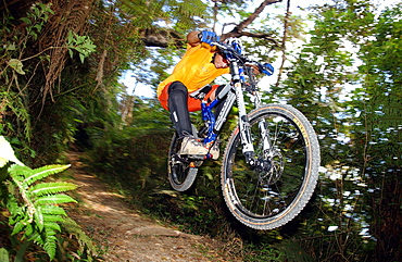 Man riding a mountain bike through the jungle, Cuba, America