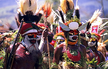 Local tribe with painted faces at the Sing Sing festival, Huli, Mt Hagen, Eastern Highlands, Papua New Guinea, Melanesia