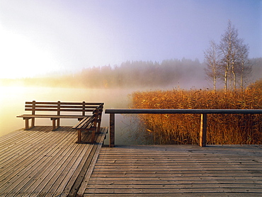 Jetty in early morning fog, Osterseen, Upper Bavaria, Germany