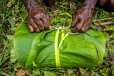 Packaging from leaves, Malekula, Vanuatu, South Pacific, Oceania