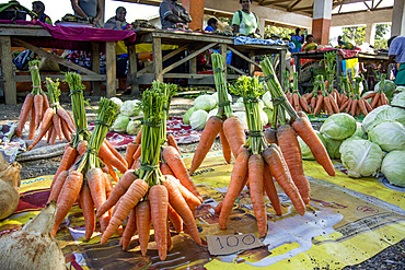 Carrots on market in Tanna, Vanuatu, South Pacific, Oceania