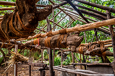 Yam on a market, Malekula, Vanuatu, South Pacific, Oceania