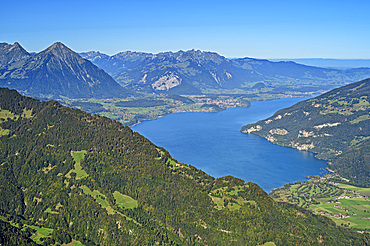 Lake Thun, from Schynigen Platte, Grindelwald, Bernese Oberland, UNESCO World Natural Heritage Swiss Alps Jungfrau-Aletsch, Bernese Alps, Bern, Switzerland