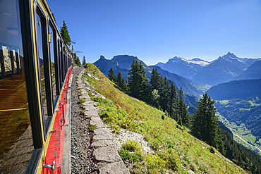 Red wagon of the rack railway travels to Schynige Platte, Bernese Alps in the background, from Schynigen Platte, Grindelwald, Bernese Oberland, UNESCO World Natural Heritage Swiss Alps Jungfrau-Aletsch, Bernese Alps, Bern, Switzerland