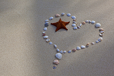 Seashells and a starfish laid out on the sand in from of a heart. Antigua, West Indies.