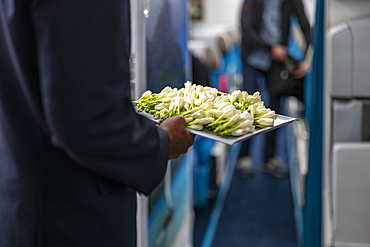 Flight attendants with tray of fresh Tahitian tiare flowers greeting passengers on board Air Tahiti Nui Boeing 787 Dreamliner airplane, Paris Charles de Gaulle Airport (CDG), near Paris, France