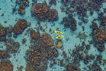 Aerial view of people on SUP stand up paddling boards amidst corals in the lagoon, near Papeete, Tahiti, Windward Islands, French Polynesia, South Pacific