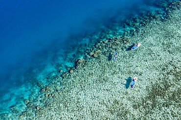 Aerial view of a family enjoying water sports activities on the coral reef in front of Six Senses Fiji Resort, Malolo Island, Mamanuca Group, Fiji Islands, South Pacific