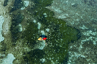 Aerial view of passengers of the cruise ship MV Reef Endeavor (Captain Cook Cruises Fiji) enjoying water sports along coral reef, Yaqeta, Yangetta Island, Yasawa Group, Fiji Islands, South Pacific