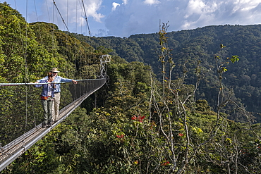 Couple admires view from suspension bridge of Canopy Walkway, Nyungwe Forest National Park, Western Province, Rwanda, Africa