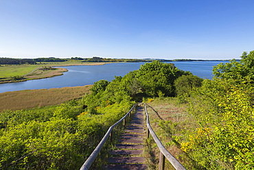 View over the Having to the Reddevitzer Höft peninsula, Ruegen, Baltic Sea, Mecklenburg-Western Pomerania, Germany