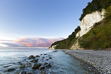 Chalk cliffs, chalk coast, Jasmund National Park, Rügen, Baltic Sea, Mecklenburg-Western Pomerania, Germany