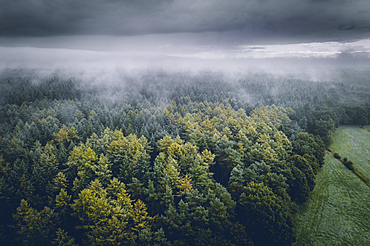 Forest and field under fog and clouds, aerial view, Wiesede, Friedeburg, Wittmund, East Frisia, Lower Saxony, Germany, Europe