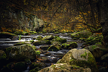 River Bode, Bodetal, Thale, Harz, Saxony-Anhalt, Germany, Europe