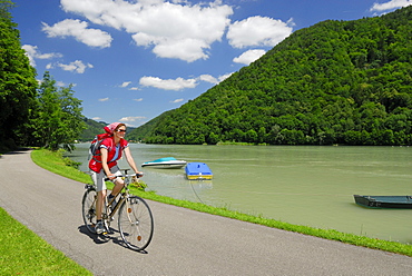 Female cyclist riding along Danube river, Danube Cycle Route Passau to Vienna, Schloegen, Upper Austria, Austria