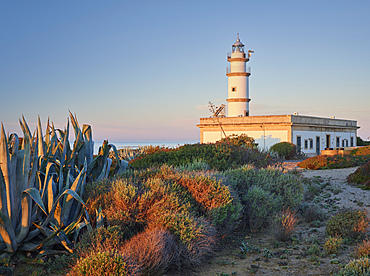 Faro des Cap de ses Salines, Mallorca, Balearic Islands, Catalonia, Spain