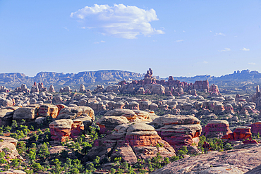 Sandstone pinnacles, Chesler Park, The Needles district, Canyonlands National Park, Utah, USA