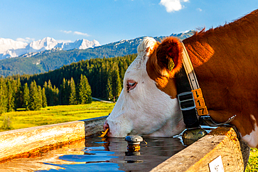 Mountains - Landscape - Chiemgau - Tyrol