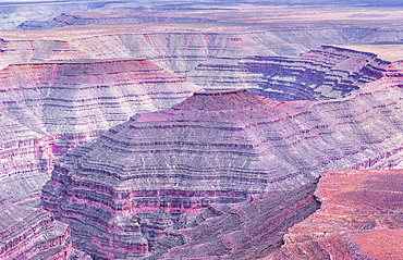 Goosenecks State Park, Utah, USA,