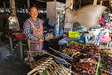 Friendly woman grills meat and fish in the indoor market under a fan with plastic bag to keep flies away, Houayxay (Huay Xai), Bokeo Province, Laos, Asia