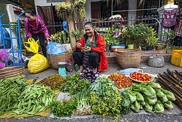 Women selling fruit and vegetables at the morning market, Luang Prabang, Luang Prabang Province, Laos, Asia