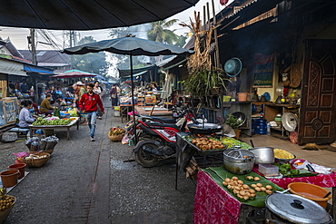 Delicacies for sale in the morning market, Luang Prabang, Luang Prabang Province, Laos, Asia