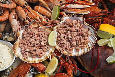 A delicious seafood platter, prepared by chef Boy Schuiling from restaurant 't Paakhuus Texel, is served on board the 1902 sailing ship Iselmar during the Wadden Sea crossing from Harlingen to Terschelling, West Frisian Islands, Friesland, Netherlands