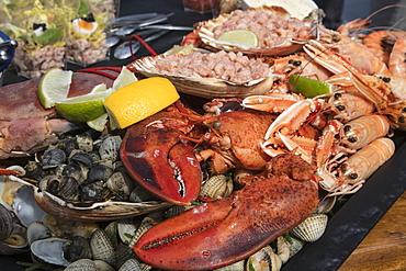 A delicious seafood platter, prepared by chef Boy Schuiling from restaurant 't Paakhuus Texel, is served on board the 1902 sailing ship Iselmar during the Wadden Sea crossing from Harlingen to Terschelling, West Frisian Islands, Friesland, Netherlands