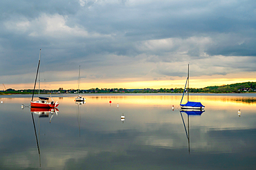 Sailing boats in Sieseby an der Schlei, evening mood, Schwansen, Thumby, Schleswig-Holstein, Germany