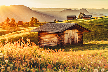 Hut at sunrise on the Seiser Alm in South Tyrol, Italy, Europe;