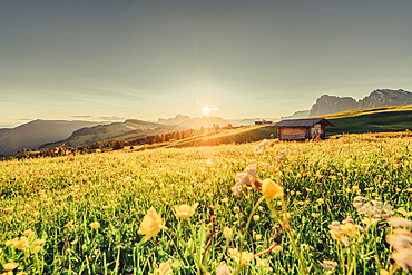 Sunrise on the Seiser Alm in South Tyrol, Italy, Europe;