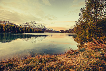 Sunrise on Lake Sils, Engadin, Grisons, Switzerland, Europe