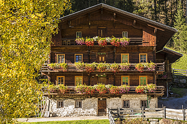 Old farm in Winkeltal, Auservillgraten, Villgratental, East Tyrol, Tyrol, Austria