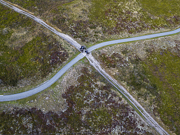 Aerial view of three people on horses on a field path that crosses a cycle path, near Oosterend, Terschelling, West Frisian Islands, Friesland, Netherlands, Europe