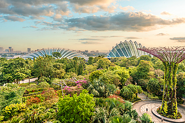 View from the Supertrees over the Gardens by the Bay with the Cloud Forest and Flower Dome buildings in the background, Singapore