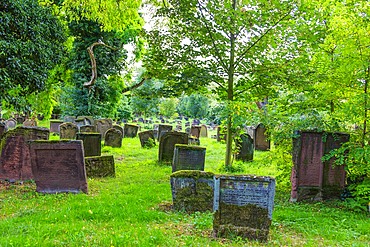 Worms, Holy Sand Jewish Cemetery, tombstones from the 13th and 17th centuries