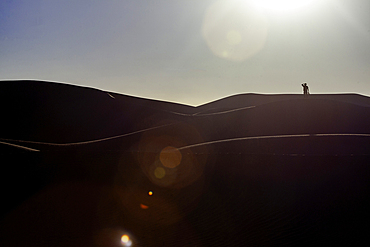 Africa, Morocco, Zagora, Sahara, Erg Lehoudi, man alone in the desert