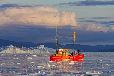 Tourist boat in front of icebergs, Kangia Icefjord, Disko Bay, UNESCO World Heritage Site, West Greenland, Greenland