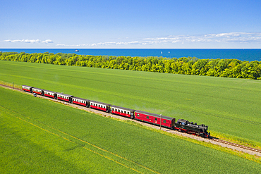 Narrow gauge railway Molli runs on the Baltic Sea between Bad Doberan and Kuehlungsborn, Mecklenburg-Vorpommern, Germany