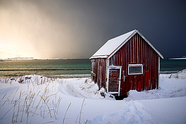 Red fishing hut on the fjord, Lofoten, Norway