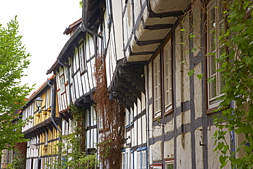 Half-timbered house, Adolfstrasse, Old city, Detmold, Strasse der Weserrenaissance, Lippe, Northrhine-Westphalia, Germany, Europe