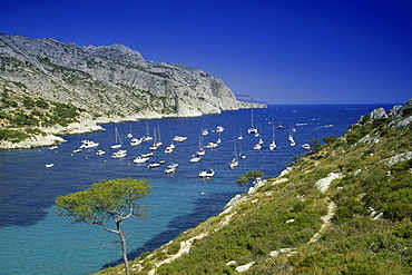 Boats anchoring in a bay under blue sky, Calanque de Sormiou, Cote dÂ¥Azur, Provence, France, Europe