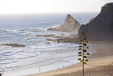 Tourists on the beach, popular beach among windsurfers, Atlantic ocean, Praia de Odeiceixe, Algarve, Portugal