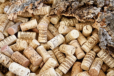 Close-up of corks, Museo del Vino, Berchidda, Sardinia, Italy, Europe