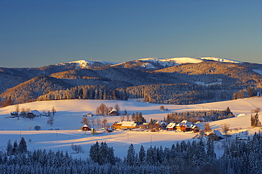 Sunrise on a winter's morning at Breitnau-Fahrenberg, Feldberg, Black Forest, Baden-Wuerttemberg, Germany, Europe