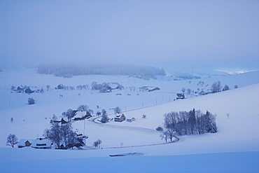 Foggy winter's morning at Breitnau, Black Forest, Baden-Wuerttemberg, Germany, Europe