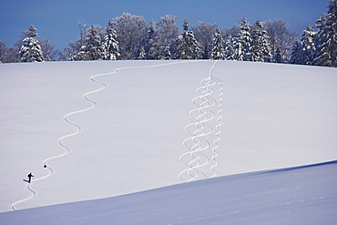 Winter's day, Track of a skier in the snow at the Thurner, Black Forest, Baden-Wuerttemberg, Germany, Europe