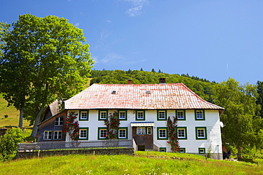 Farmhouse with Garden at Bernau - Hof, Summer, Black Forest, Baden-Wuerttemberg, Germany, Europe