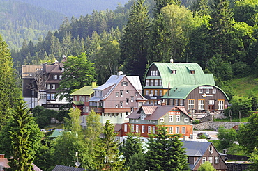 Houses of the town Spindlermuehle in front of conifers, Bohemian mountains, east-bohemian, Czech Republic, Europe